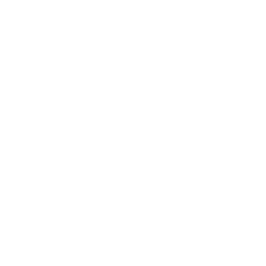 $t(wsl.logo_description)